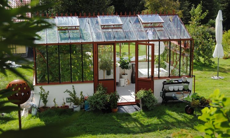 Important Facts About Hobby Greenhouses