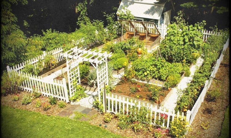 Organize Your Garden to Start a Vegetable Garden