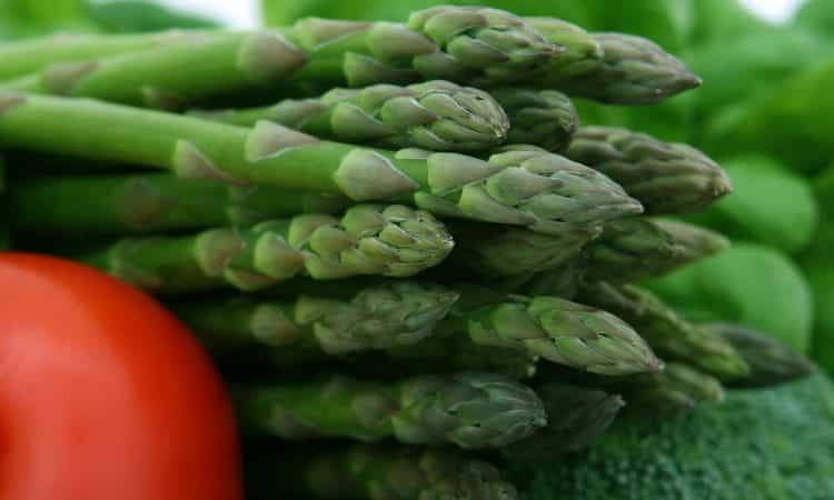 The Vegetable Guide - Asparagus